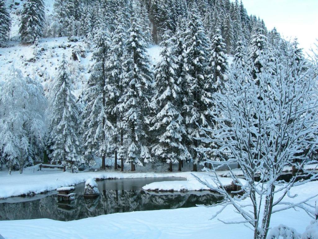 Hotel Evianquelle Bad Gastein Exteriör bild